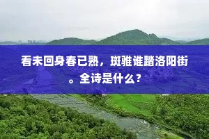 看未回身春已熟，斑骓谁踏洛阳街。全诗是什么？