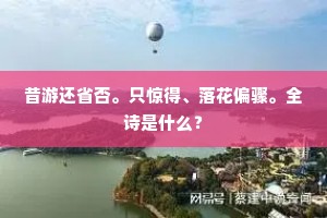 昔游还省否。只惊得、落花偏骤。全诗是什么？