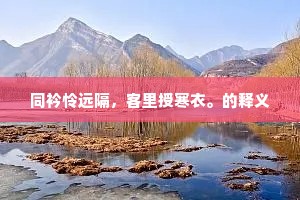 同衿怜远隔，客里授寒衣。的释义
