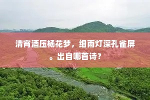 清宵酒压杨花梦，细雨灯深孔雀屏。出自哪首诗？