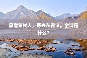 悬崖策杖人，寄兴在霄汉。全诗是什么？