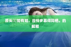原头鹡鸰如有知，应怜岁暮得同栖。的解释