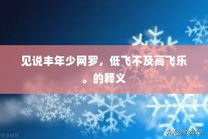 见说丰年少网罗，低飞不及高飞乐。的释义