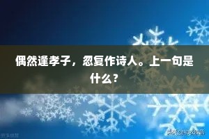 偶然逢孝子，忽复作诗人。上一句是什么？