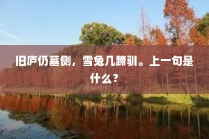 旧庐仍墓侧，雪兔几蹄驯。上一句是什么？