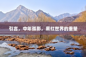 引言，中年孤影，肩扛世界的重量