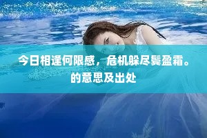今日相逢何限感，危机躲尽鬓盈霜。的意思及出处