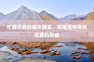 忙碌织就的麻木踏实，在喧嚣中寻找灵魂的静谧