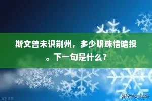 斯文曾未识荆州，多少明珠惜暗投。下一句是什么？