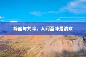 静谧与共鸣，人间至味是清欢