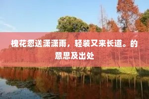 槐花忽送潇潇雨，轻装又来长道。的意思及出处