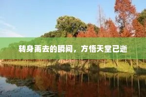 转身离去的瞬间，方悟天堂已逝