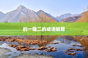 的一确二的成语解释