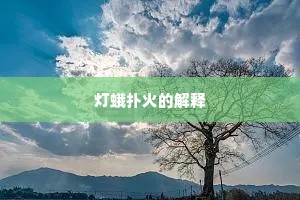 灯蛾扑火的解释