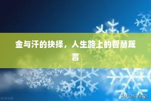 金与汗的抉择，人生路上的智慧箴言