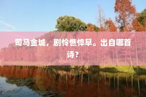 司马金城，剧怜憔悴早。出自哪首诗？