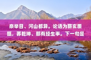 奈举目、河山都异。论语为薪玄覆瓿，莽乾坤、那有经生事。下一句是什么？