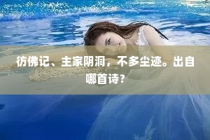 彷佛记、主家阴洞，不多尘迹。出自哪首诗？