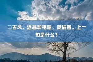 □古风、迟暮却相逢，庞眉客。上一句是什么？