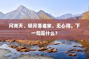 问青天、明月落谁家，无心得。下一句是什么？