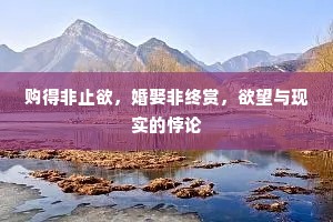 购得非止欲，婚娶非终赏，欲望与现实的悖论
