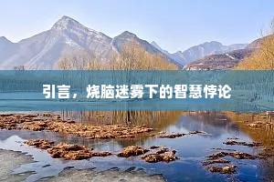 引言，烧脑迷雾下的智慧悖论