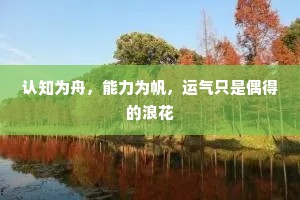 认知为舟，能力为帆，运气只是偶得的浪花