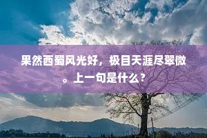 果然西蜀风光好，极目天涯尽翠微。上一句是什么？