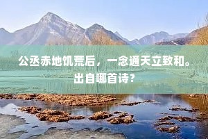 公丞赤地饥荒后，一念通天立致和。出自哪首诗？