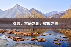 引言，言语之刺，玫瑰之殇
