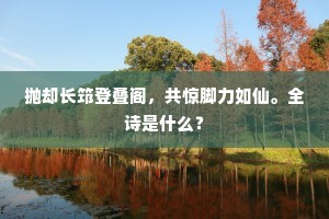 抛却长筇登叠阁，共惊脚力如仙。全诗是什么？