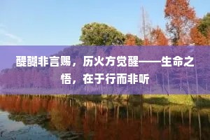 醍醐非言赐，历火方觉醒——生命之悟，在于行而非听