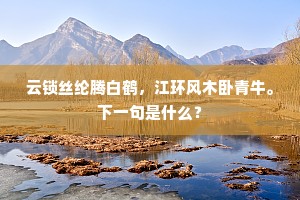 云锁丝纶腾白鹤，江环风木卧青牛。下一句是什么？