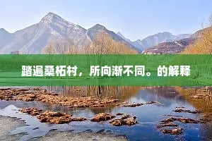 踏遍桑柘村，所向渐不同。的解释