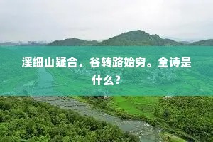 溪细山疑合，谷转路始穷。全诗是什么？