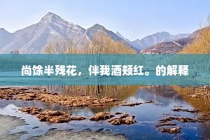尚馀半残花，伴我酒颊红。的解释
