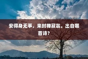 安得身无事，来时禅寂翁。出自哪首诗？