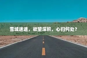 雪域迷途，欲望深积，心归何处？