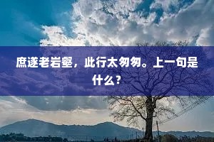 庶遂老岩壑，此行太匆匆。上一句是什么？