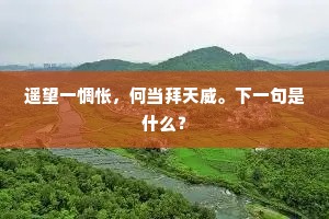 遥望一惆怅，何当拜天威。下一句是什么？