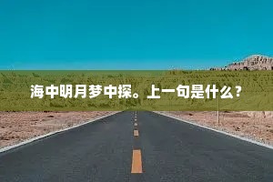 海中明月梦中探。上一句是什么？