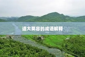 道大莫容的成语解释