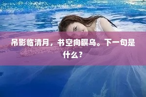 吊影临清月，书空向瞑乌。下一句是什么？