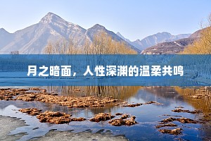 月之暗面，人性深渊的温柔共鸣