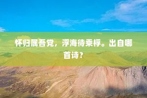 怀归属吾党，浮海待乘桴。出自哪首诗？