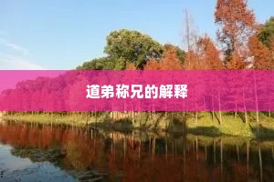 道弟称兄的解释
