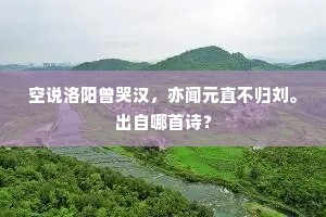 空说洛阳曾哭汉，亦闻元直不归刘。出自哪首诗？