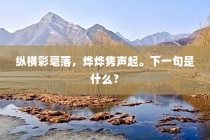 纵横彩毫落，烨烨隽声起。下一句是什么？