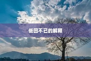 低回不已的解释