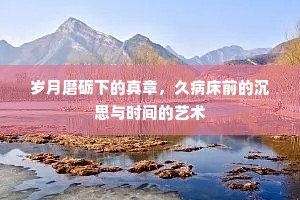 岁月磨砺下的真章，久病床前的沉思与时间的艺术